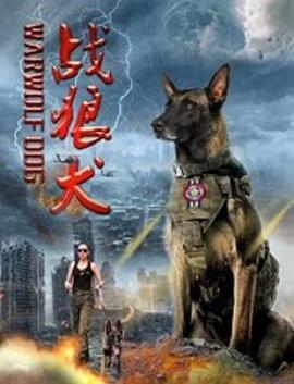 战狼犬正片